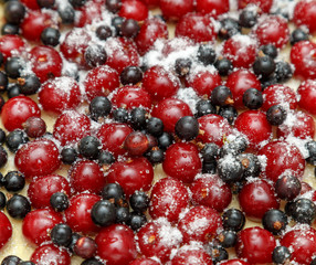 Ripe cherry and black currant filling for a pie. Dish cooked in the home kitchen.