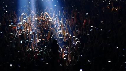 joyful crowd enjoys listening famous group rock concert