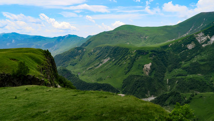  the charming and extraordinary nature of Georgia