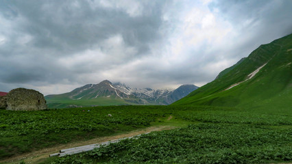 Naklejka premium the charming and extraordinary nature of Georgia