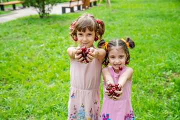 Children eat cherries in the summer. Selective focus. © yanadjan