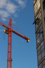 construction crane builds a tower   industrial blue development