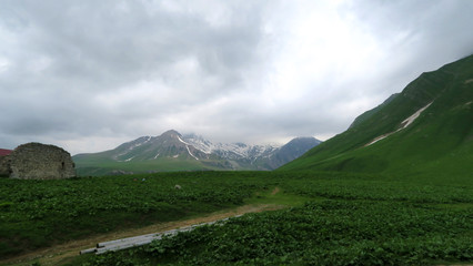  the charming and extraordinary nature of Georgia