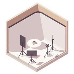 Vector isometric photographer studio icon. Illustration with white and color backdrop, camera on the tripod, lighting equipment, desk with computer and other equipment