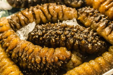 sea cucumber closeup in market background