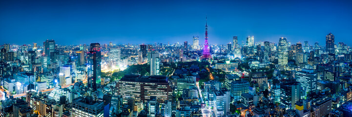 Fototapeta na wymiar Tokyo skyline panorama at night with Tokyo Tower