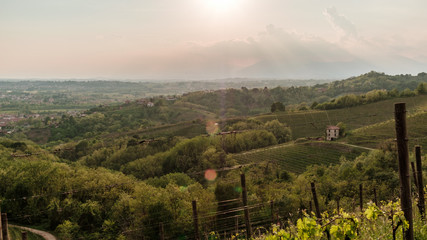 Obraz premium Evening storm in the vineyards
