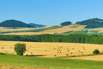 Landscape and nature, Auvergne, France.