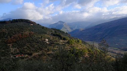 Montefranco Umbria Italy La Valnerina Olive trees