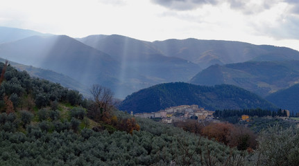 Montefranco Umbria Italy La Valnerina Olive trees