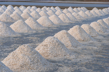 White salt piles in the vast salt fields of the sea