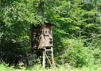 Ein Hochsitz am Waldesrand