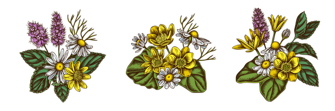 Flower bouquet of colored celandine, chamomile, peppermint