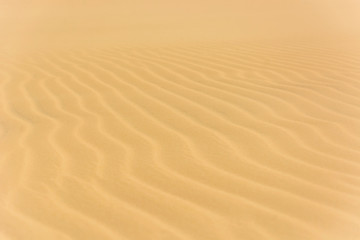Beautiful desert on the background