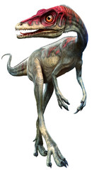 Compsagnathus from the Jurassic era 3D illustration