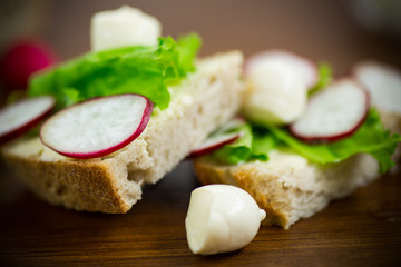 sandwich with cheese, lettuce and red radish on a wooden