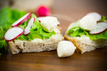 sandwich with cheese, lettuce and red radish on a wooden