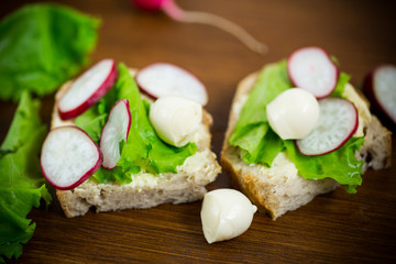 sandwich with cheese, lettuce and red radish on a wooden