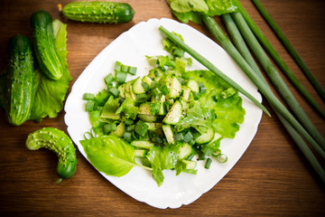 fresh salad of cucumbers and greens in a plate on a wooden