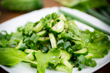 fresh salad of cucumbers and greens in a plate on a wooden