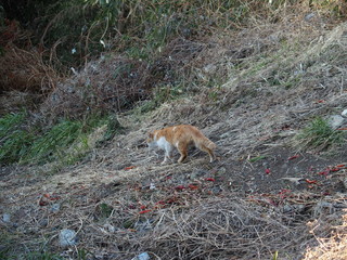 冒険への旅立ち