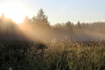 Солнце в тумане