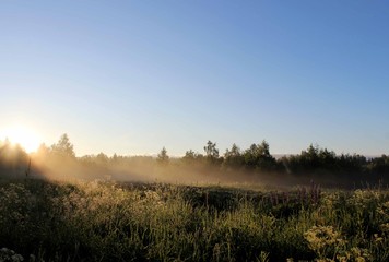 Солнце в тумане
