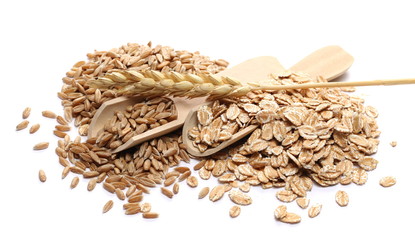 Spelta grain, ear and flakes for breakfast isolated on white background