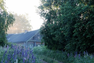 Туман над деревней