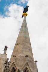 BUDAPEST, HUNGARY: Raven at the peak. Matthias Church is a Roman Catholic church located in Budapest