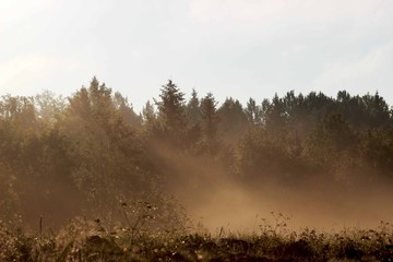 Obraz na płótnie Canvas Утренний туман