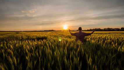 Young farmer admires his wheat field - obrazy, fototapety, plakaty