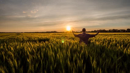 Deurstickers Young farmer admires his wheat field © StockMediaProduction