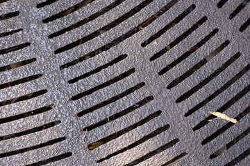 Metal Street Grate Texture Cropped