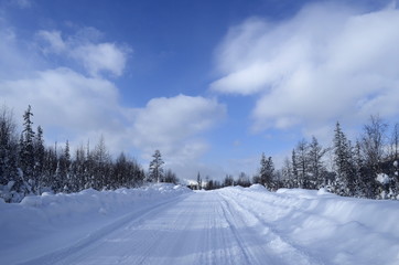 snowy road in winter forest