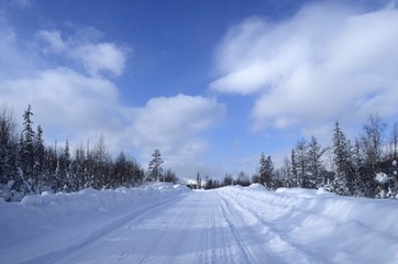snowy road in winter forest