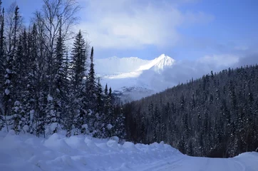 Fotobehang winter mountain landscape © Paul EtCetra