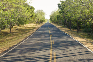 Country road on sunny day