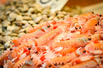 fresh seafood within the fish market in Spain - octopus, shells, shrimps, fish, oysters, lobster 