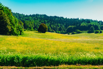 landschap of Gornji Babin Potok, in Lika Senj, Croatia