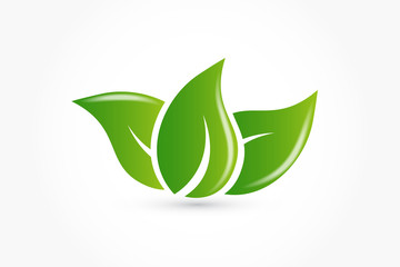 Logo ecology leafs vector