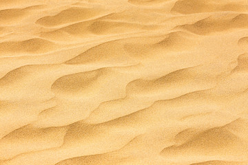 Fototapeta na wymiar Background image of desert sand in the dunes