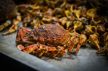 fresh seafood within the fish market in Spain - octopus, shells, shrimps, fish, oysters, lobster 