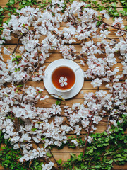 A white cup with fragrant floral black tea of stotes on a wooden background, decorated with apricot twigs and petals. Early breakfast, health, herbal treatment. Concept and composition.