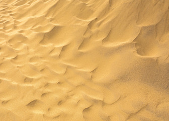 Background image of desert sand in the dunes
