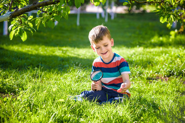 portrait of the boy in a garden, considers plants through a magnifying glass.