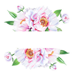 Beautiful white peony frame. Bouquet of flowers. Floral print. Marker drawing. Watercolor painting. Wedding and birthday composition. Greeting card. Flower painted background. Hand drawn illustration.