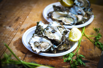 fresh seafood within the fish market in Spain - octopus, shells, shrimps, fish, oysters, lobster 