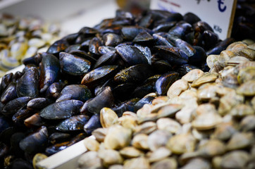 fresh seafood within the fish market in Spain - octopus, shells, shrimps, fish, oysters, lobster 
