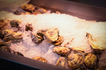 fresh seafood within the fish market in Spain - octopus, shells, shrimps, fish, oysters, lobster 